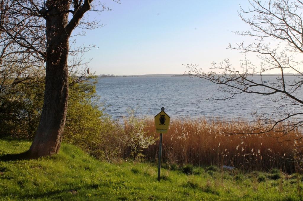 Fischer'S Ferienhaus Ruegen Mit Sauna Und Kamin Ummanz Ruang foto